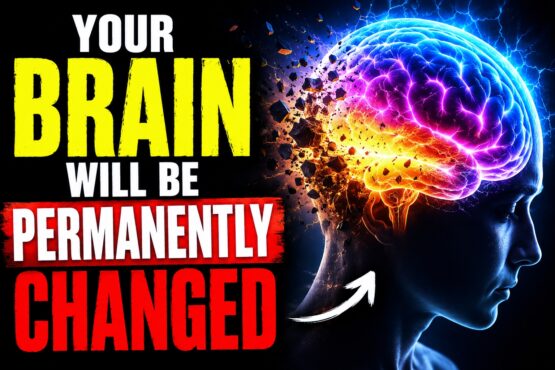 The Living Brain: Understanding Neuroplasticity